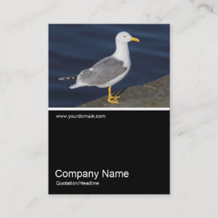 Carte De Visite Demi&Demi Photo 0308 - Mouette à pattes jaunes