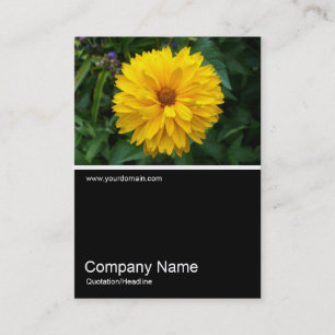 Carte De Visite Demi&demi photo 057 - Chrysanthème