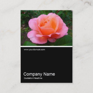 Carte De Visite Demi&mi photo 0173 - Rose