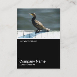 Carte De Visite Demi&mi photo 0178 - Cormorant