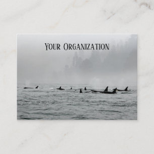 Carte De Visite Dépassement des baleines