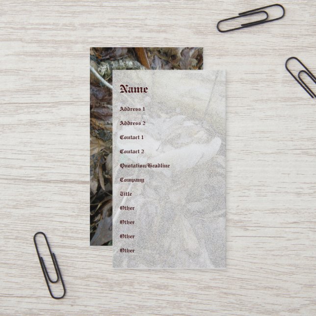 Carte de visite des éléments de coordination du ch (Devant/Arrière en situation)