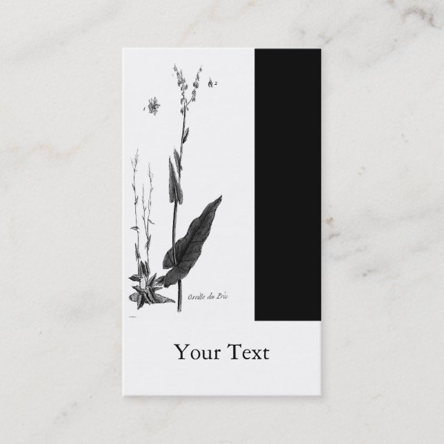 Carte De Visite DES Prés d'Oseille (Devant)