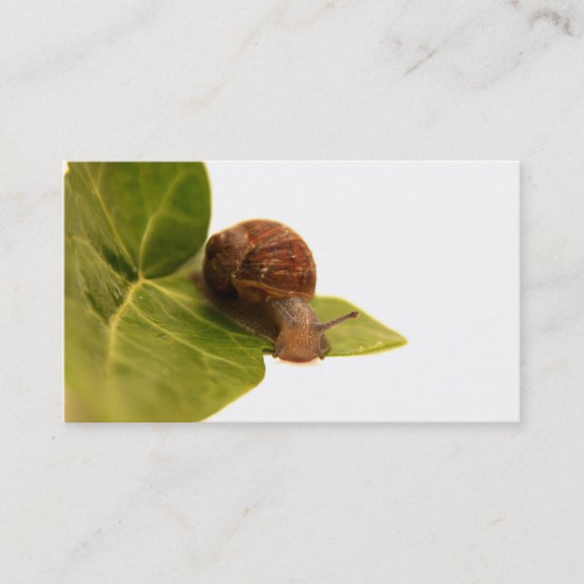 Carte de visite d'escargot (Devant)