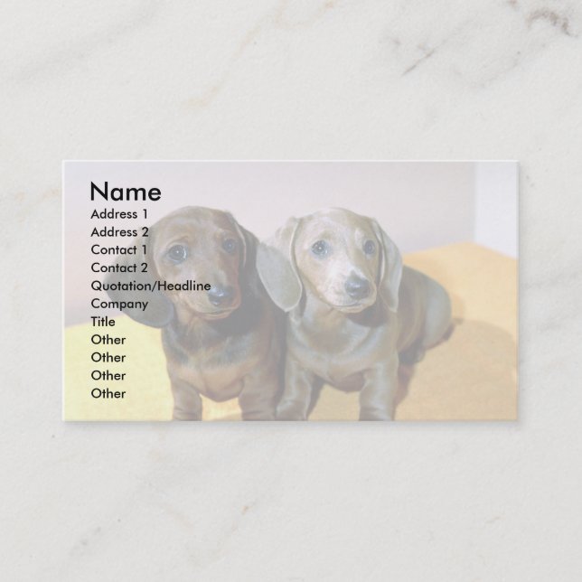 Carte De Visite Deux petits Dachshund (Devant)