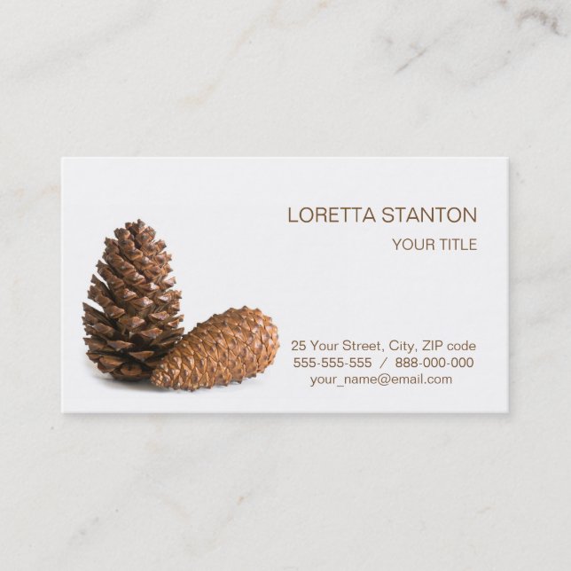 Carte De Visite Deux pinecones (Devant)