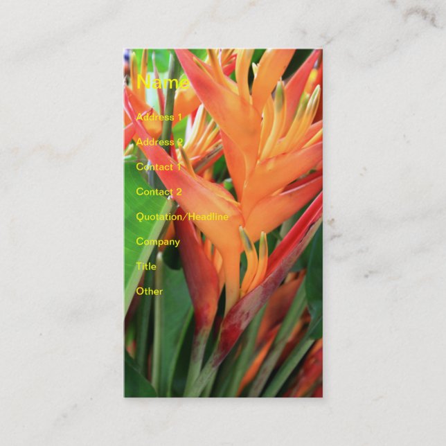 Carte de visite d'Hibiscus d'Hawaï (Devant)