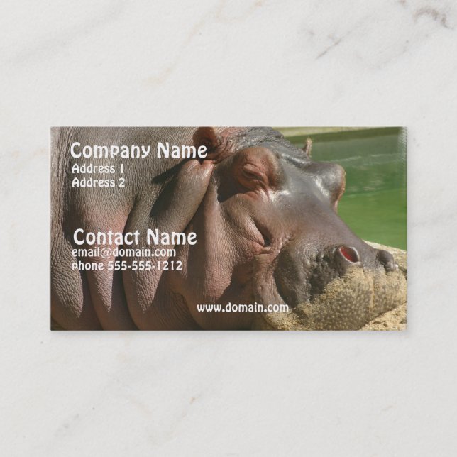 Carte de visite d'hippopotame (Devant)