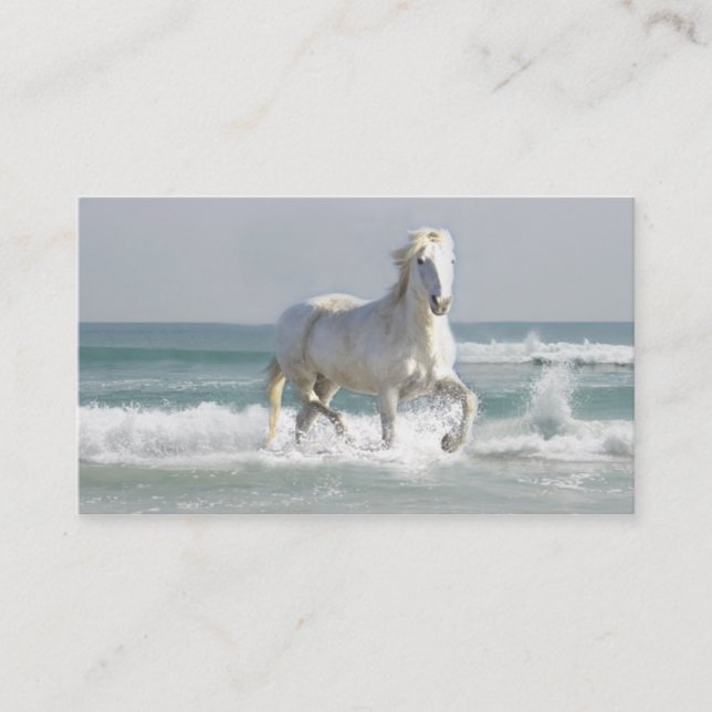 Carte de visite d'océan de cheval (Devant)