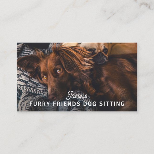 Carte De Visite Dog Walker assis service de garderie (Devant)