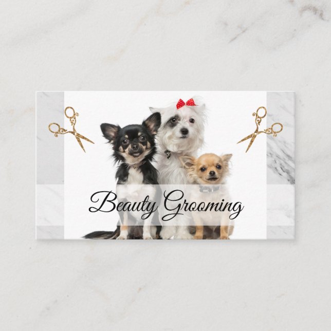 Carte De Visite Doggies mignonnes | Ciseaux de grossissement (Devant)