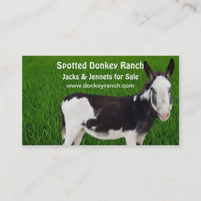 Carte de visite Donkey Ranch (Devant)