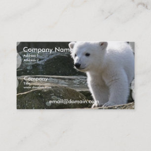Carte de visite d'ours blanc de bébé