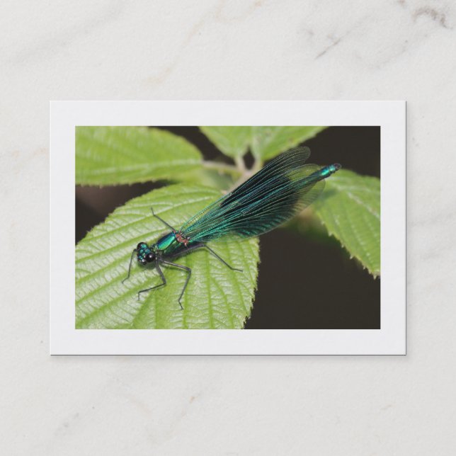 Carte De Visite Dragonfly (Bordé) (Devant)
