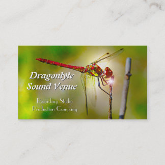Carte De Visite Dragonlyte Cool Professionnel