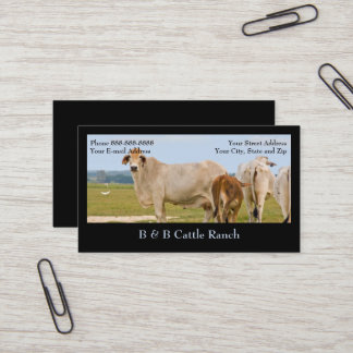 Carte de visite du ranch de la ferme des bovins