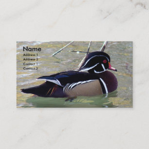 Carte De Visite Duck de bois Drake