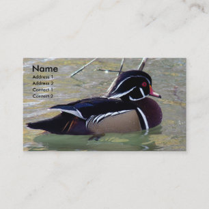 Carte De Visite Duck Drake