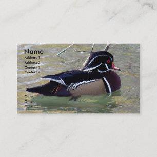 Carte De Visite Duck Drake