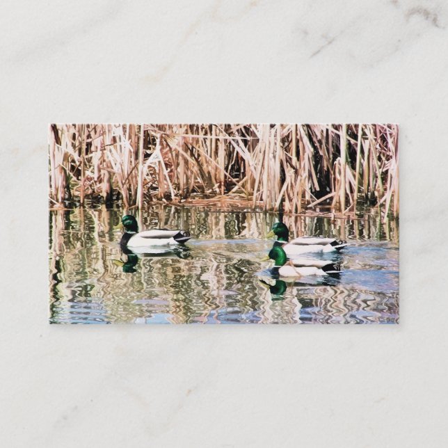 CARTE DE VISITE DUCKS SAUVAGES (Devant)