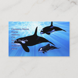 Carte De Visite Echo lumière