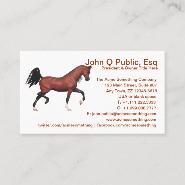 Carte De Visite École d'équitation de Trotting Bay Arabian Horse F (Devant)