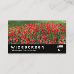 Carte De Visite Écran large 0471 - Lit de tulipes rouges 02