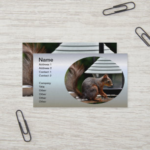 Carte De Visite Écureuil à l'éleveur d'oiseaux