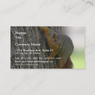 Carte De Visite Écureuil sur l'arbre