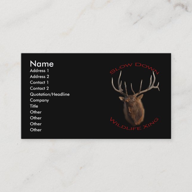 Carte De Visite élans (Devant)