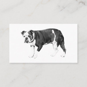 Carte De Visite Élégance Bouledogue, Contact Authentique