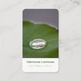 Carte De Visite Elégant nénuphar d'eau organique clair style pluie