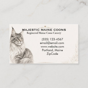 Carte de visite élégante pour élevage de Maine Coo