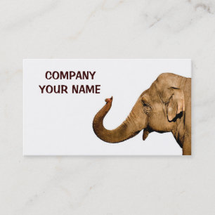 Carte De Visite Eléphant