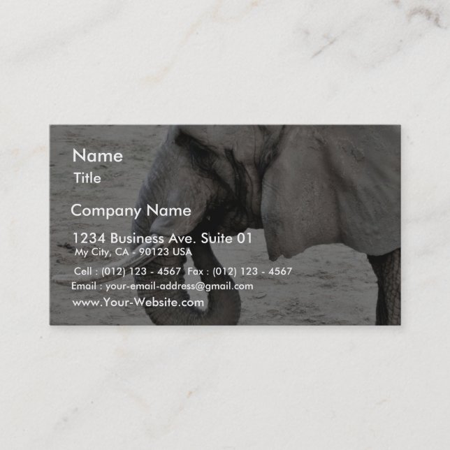 Carte De Visite Éléphant (Devant)