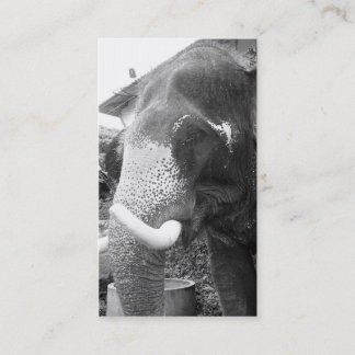 Carte De Visite Éléphant noir et blanc