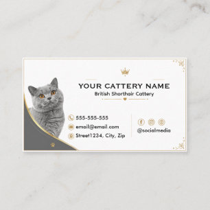 Carte De Visite Élevage de chats British Shorthair élégant moderne