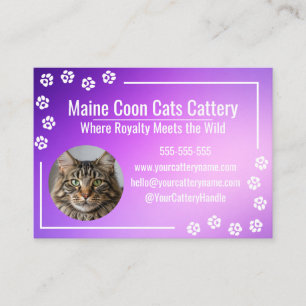 Carte De Visite Élevage de chats Maine Coon moderne dégradé violet