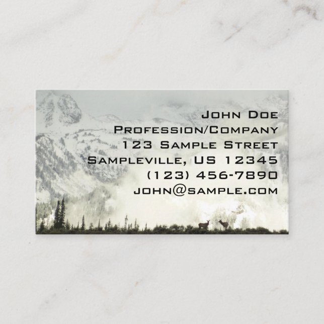 Carte De Visite Elk at Grand Teton National Park Photographie (Devant)