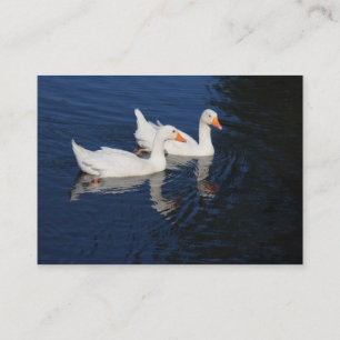 Carte De Visite Emden Geese