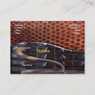 Carte de visite en cuir serpent