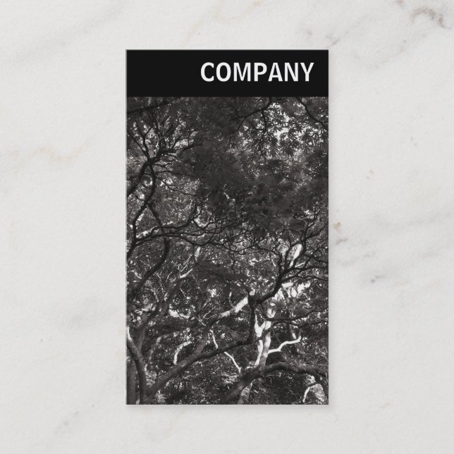 Carte De Visite En-tête V - Branches japonaises 01 (Devant)