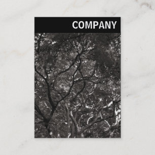 Carte De Visite En-tête V - Branches japonaises 01