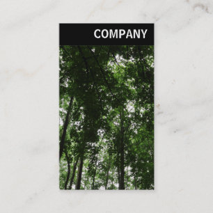 Carte De Visite En-tête V - Canopée en bois 01