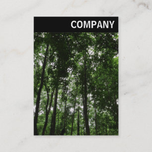 Carte De Visite En-tête V - Canopée en bois 02