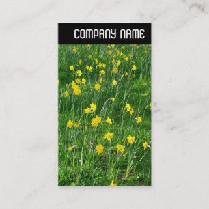 Carte De Visite En-tête V - Daffodils/Narcisse