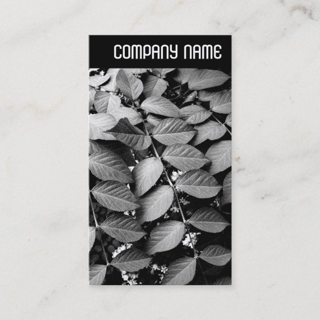 Carte De Visite En-tête V - Feuille (Devant)