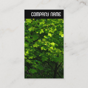 Carte De Visite En-tête V - Feuille au printemps