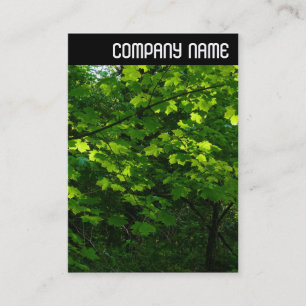 Carte De Visite En-tête V - Feuille au printemps