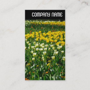 Carte De Visite En-tête V - Fleurs de ressort